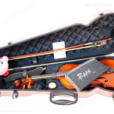 中国台湾RAAN 小提琴盒轻量防刮防震新品乐器花纹全新升级可通用琴盒