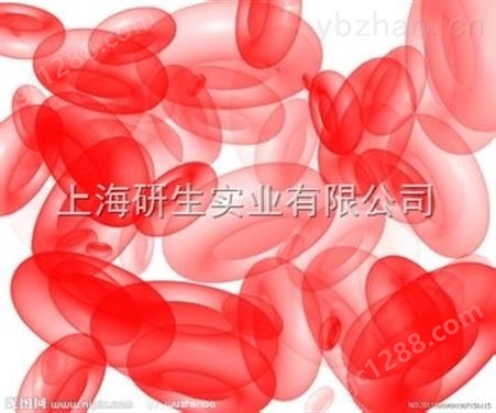 小鼠正常肝细胞；NCTC 1469 NCTC1469优质现货