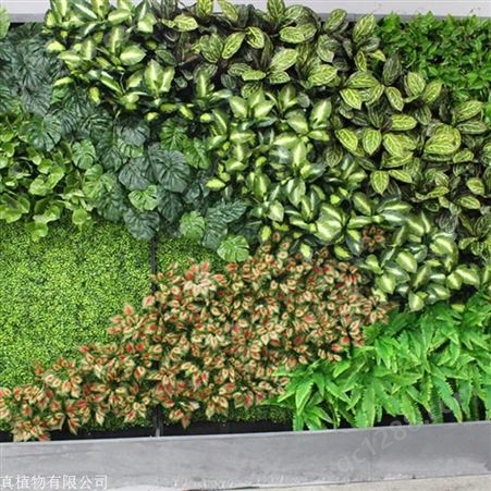 家庭植物墙 人工草坪多钱一平方 室内仿真绿植墙 定制仿真植物
