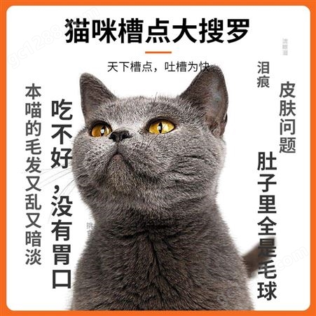安肯三文鱼味全期猫粮20斤宠物橘猫流浪猫肠胃舒营养成猫幼猫主粮