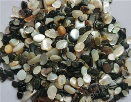贝壳砂彩色贝克碎片鱼缸底沙饲料用高钙贝壳粉