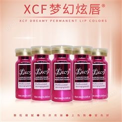 广州XCF炫彩坊梦幻炫唇，优质色粉，色泽亮丽