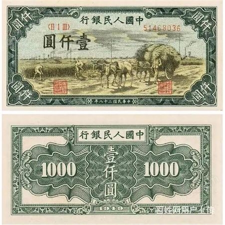 神州收藏-上海全市高价回收1949年打场20元旧版钱币