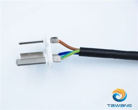 TAWANG 供应CCC 国标三插电源线对端子尾 明纬供应商