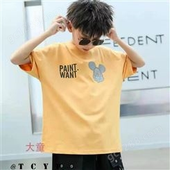儿童服装夏季t韩版新款男童短袖 中大童青少年装短袖T恤直播货源