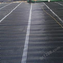 排水板 塑料排水板 HDPE绿化疏水板 屋顶绿化排水板