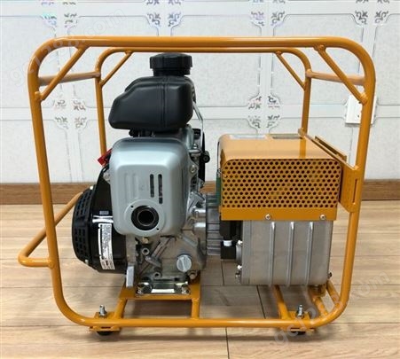 HPE-100S 汽油机液压泵 日本IZUMI 进口非定制泵 电力施工设备大功率