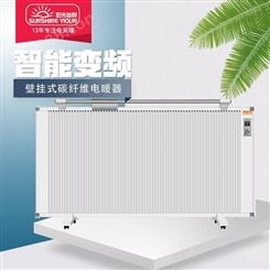 内蒙古碳纤维电暖器 壁挂式电暖气 双面发热电暖器