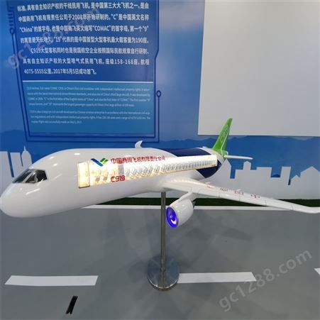憬晨模型 铁艺仿真飞机模型 飞机模型定做 飞机模型展览摆件