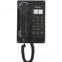 HAQ-1嵌入式自动电话 船用声力电话机 IP20双音频按键