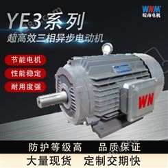安徽皖南电机股份有限公司YBX3三级能效气体防爆YBX3 80M1 2 0.75